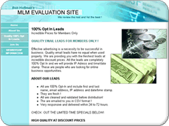 MLM Evaluation website
